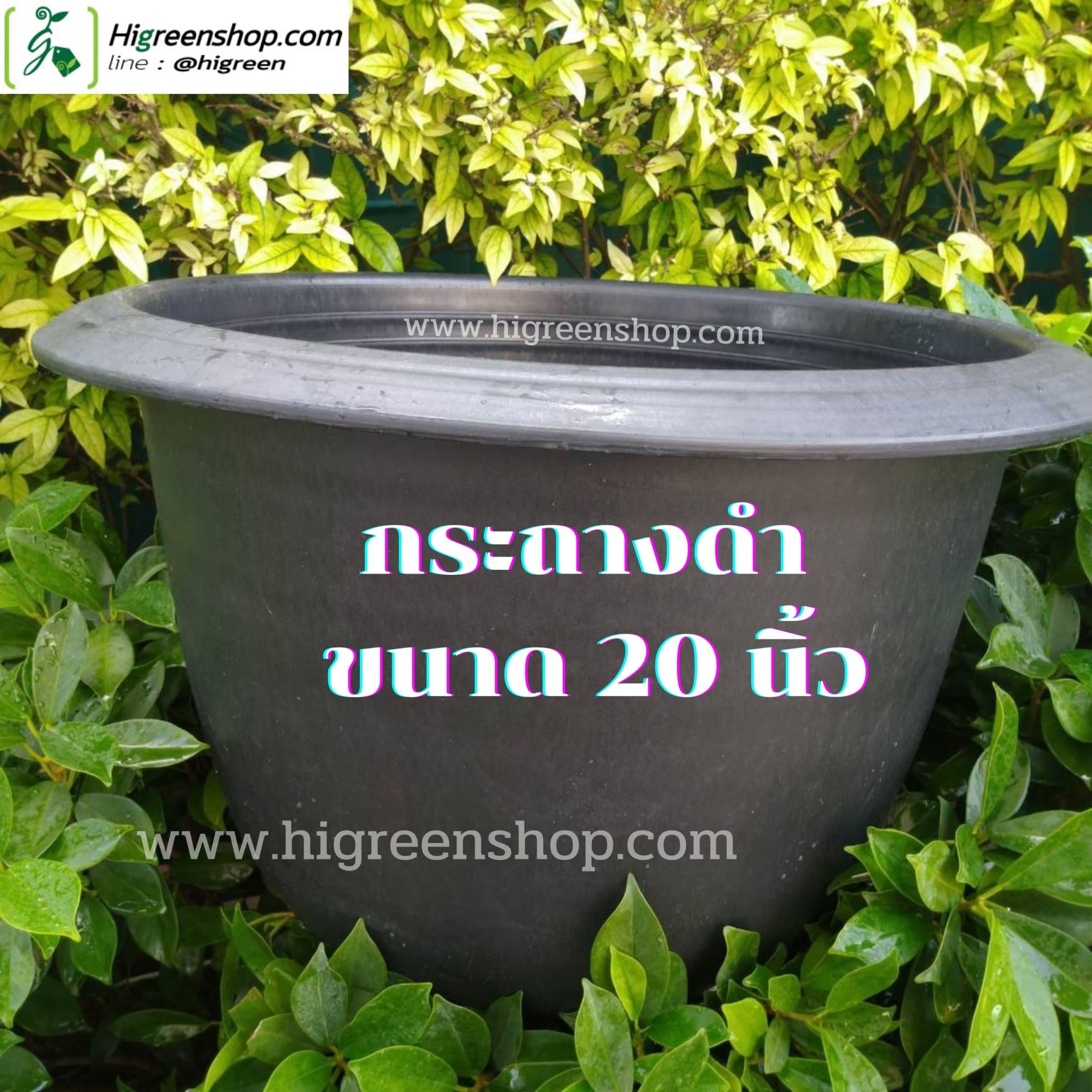 กระถางดำ ขนาด 20 นิ้ว 50 ใบ / กระสอบ