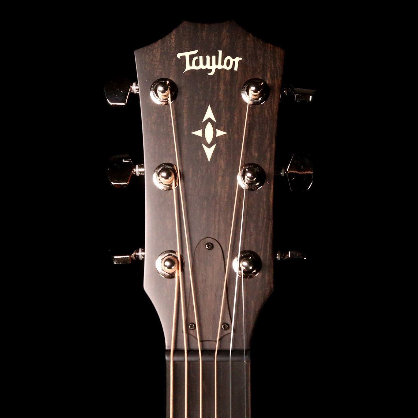 Taylor 517e Builders Edition Grand Pacific - Natural