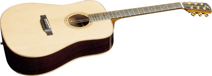 Bedell Performance TB-24-G Dreadnought Acoustic Guitar Gloss Natural