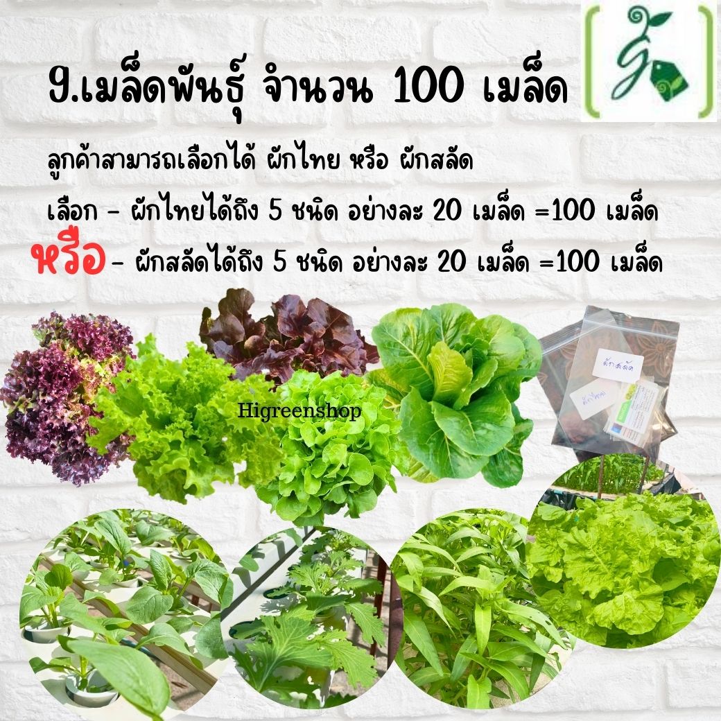 ชุด kid กล่องโฟมน้ำนิ่ง กล่องกุ้ง