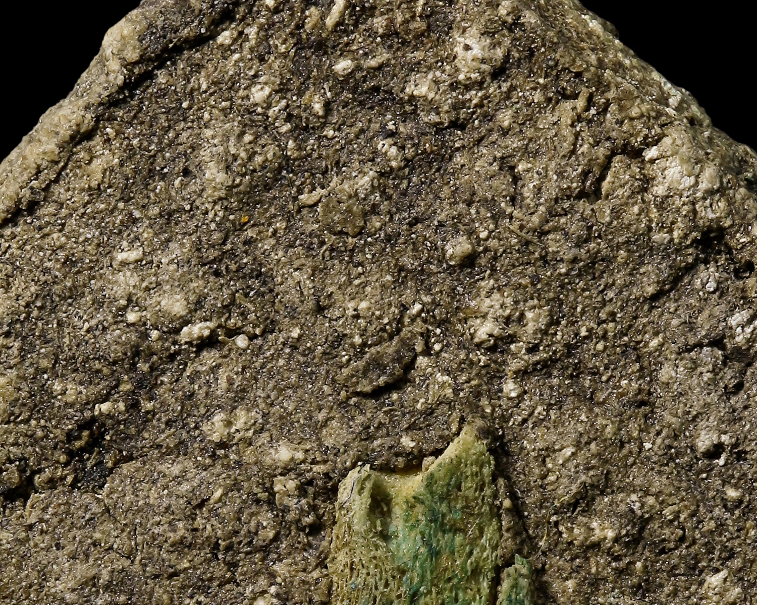 พระผงพรายกุมาร หลวงปู่ทิม วัดละหารไร่ จ.ระยอง (โชว์พระ)