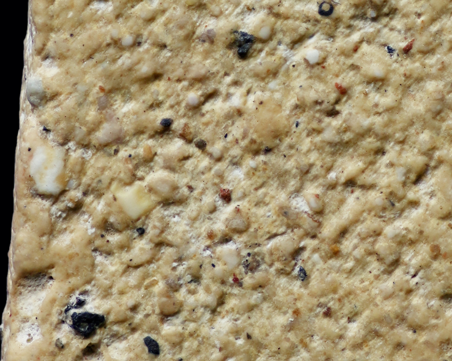 พระสมเด็จวัดระฆังโฆสิตาราม พิมพ์ใหญ่ เนื้อคล้ายขนมกระยาสารท(โชว์พระ)