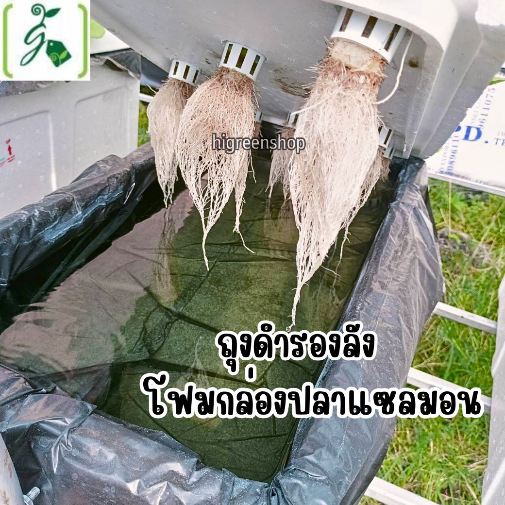 ถุงดำรองลังกล่องโฟม ถุงดำรองลังปลา ขนาด 35 x 5 x 20 นิ้ว หนา 0.10 ไมครอน