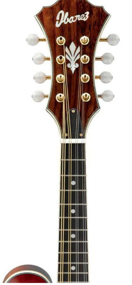 Ibanez M700AVS Spruce/Maple F-Style Mandolin Violin Sunburst