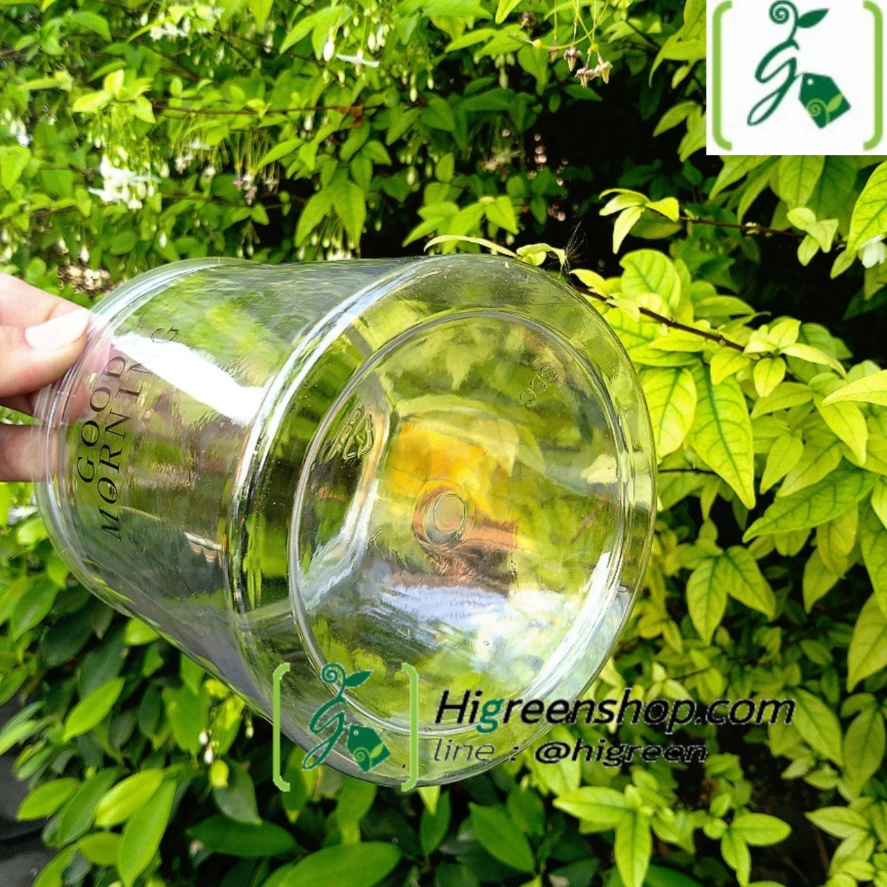 กระถางต้นไม้แบบใส เก็บน้ำได้ รดน้ำอัตโนมัติ กระถาง2ชั้น จำนวน 1 ใบ