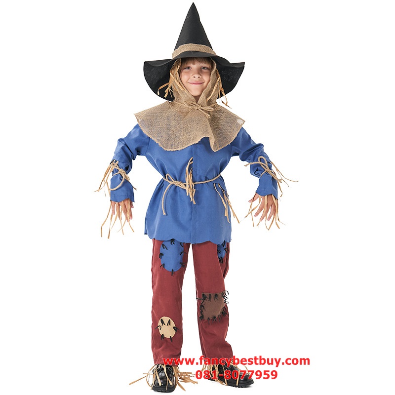 ชุดแฟนซี Scarecrow ชุดหุ้นไล่กา Dorothy of OZ ขนาด S115-125, M 125-135, XL145-155