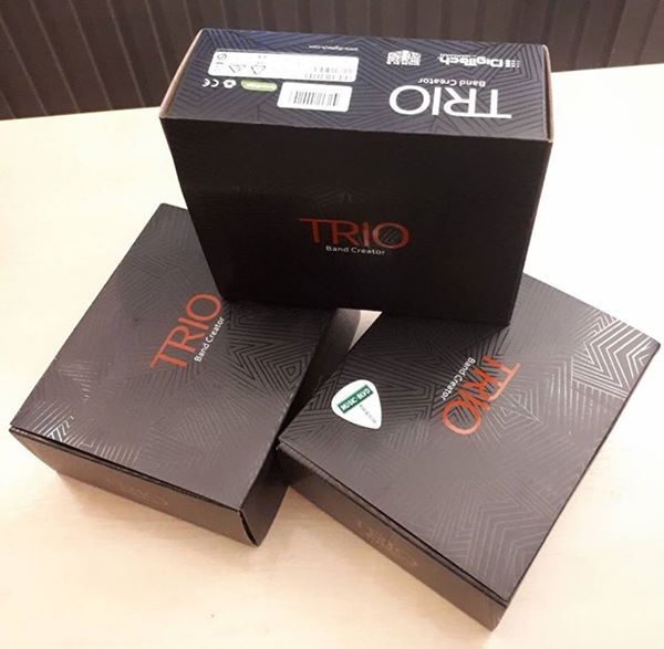 DigiTech Trio Band Creator Guitar Effects Pedal