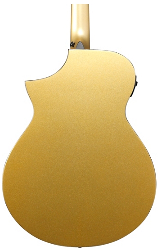 Ibanez AEWC10 Acoustic-Electric Guitar