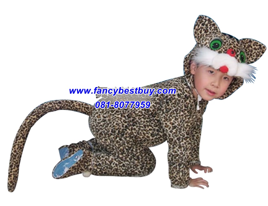 ชุดแมว CAT เป็นชุดแฟนซีสัตว์ สำหรับการแสดง ใช้ได้ทั้งเด็กชายหญิง