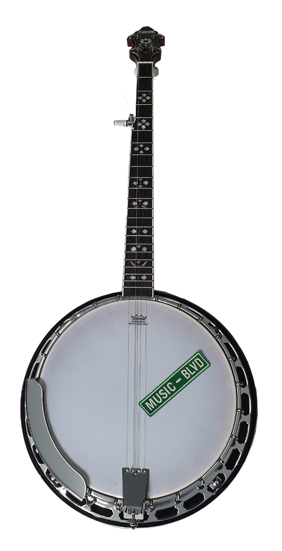 Recording King Bluegrass Series RK-R20 Songster Banjo