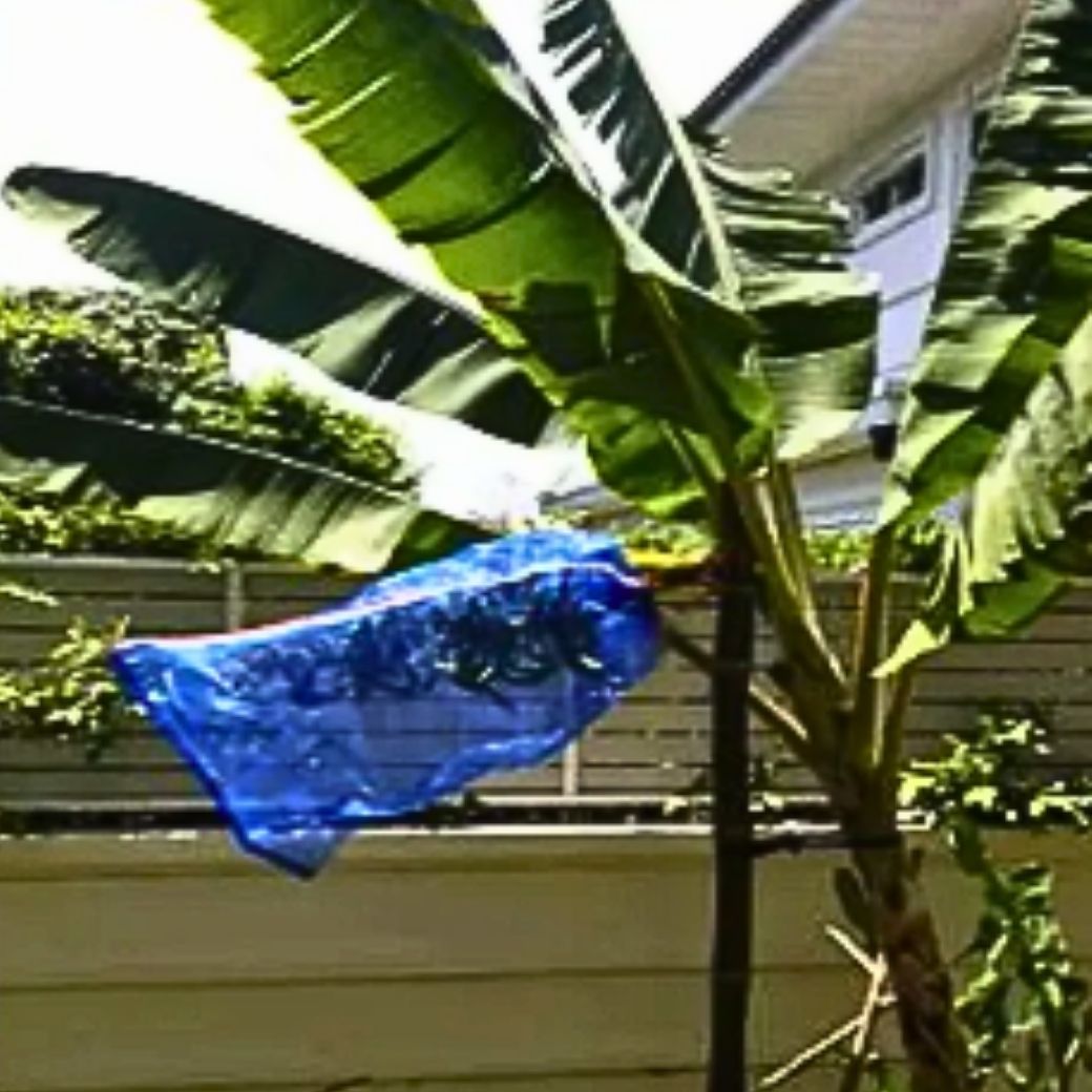 ถุงตาข่าย ถุงไนล่อนมีหูรูด ใส่ขวด/ใส่ของ/ใส่กบ/เลี้ยงหอย