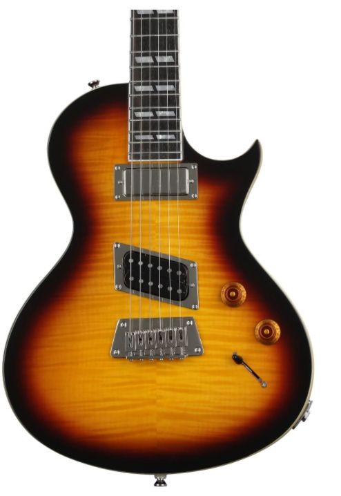 Epiphone Nancy Wilson Fanatic Outfit Electric Guitar