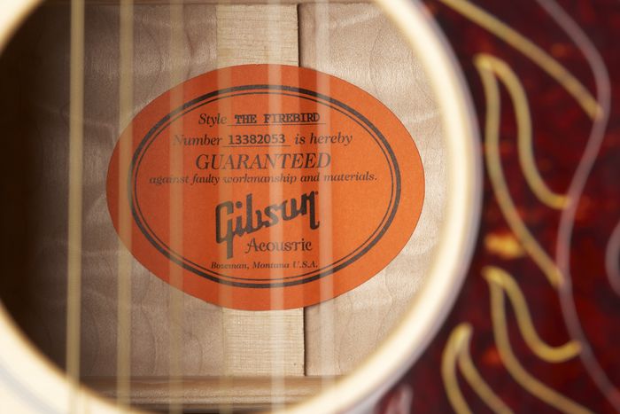 Gibson Custom Firebird Custom Acoustic Guitar