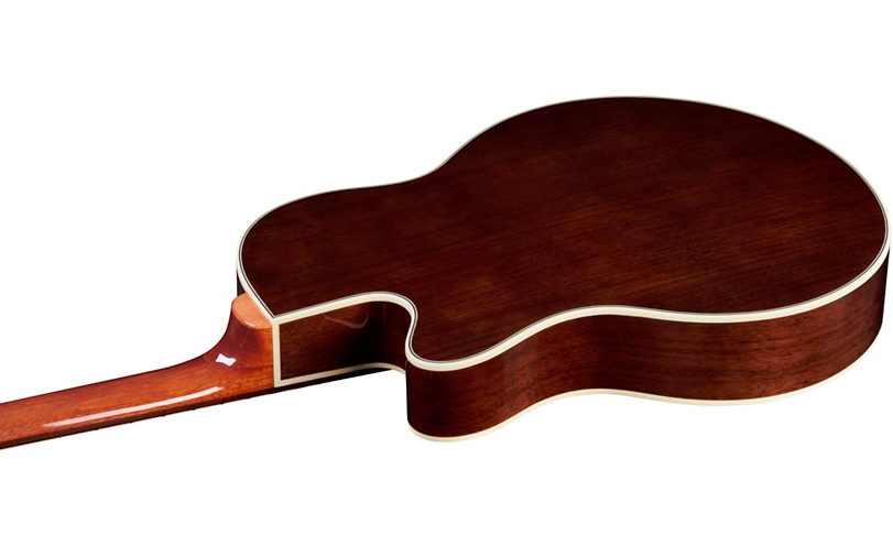 Warwick Alien Deluxe Thinline 5-String Acoustic-Electric Bass - Natural Hi Polish