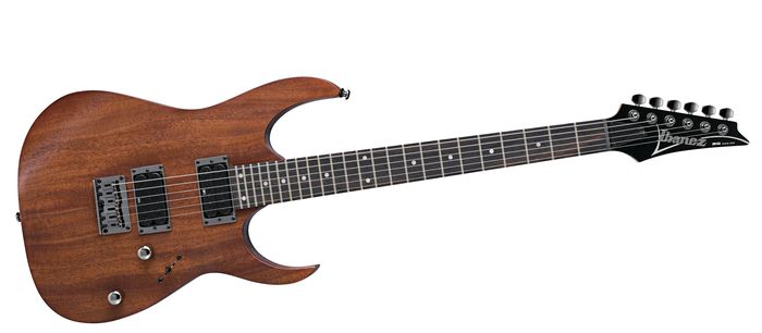 Ibanez RG421 Electric Guitar