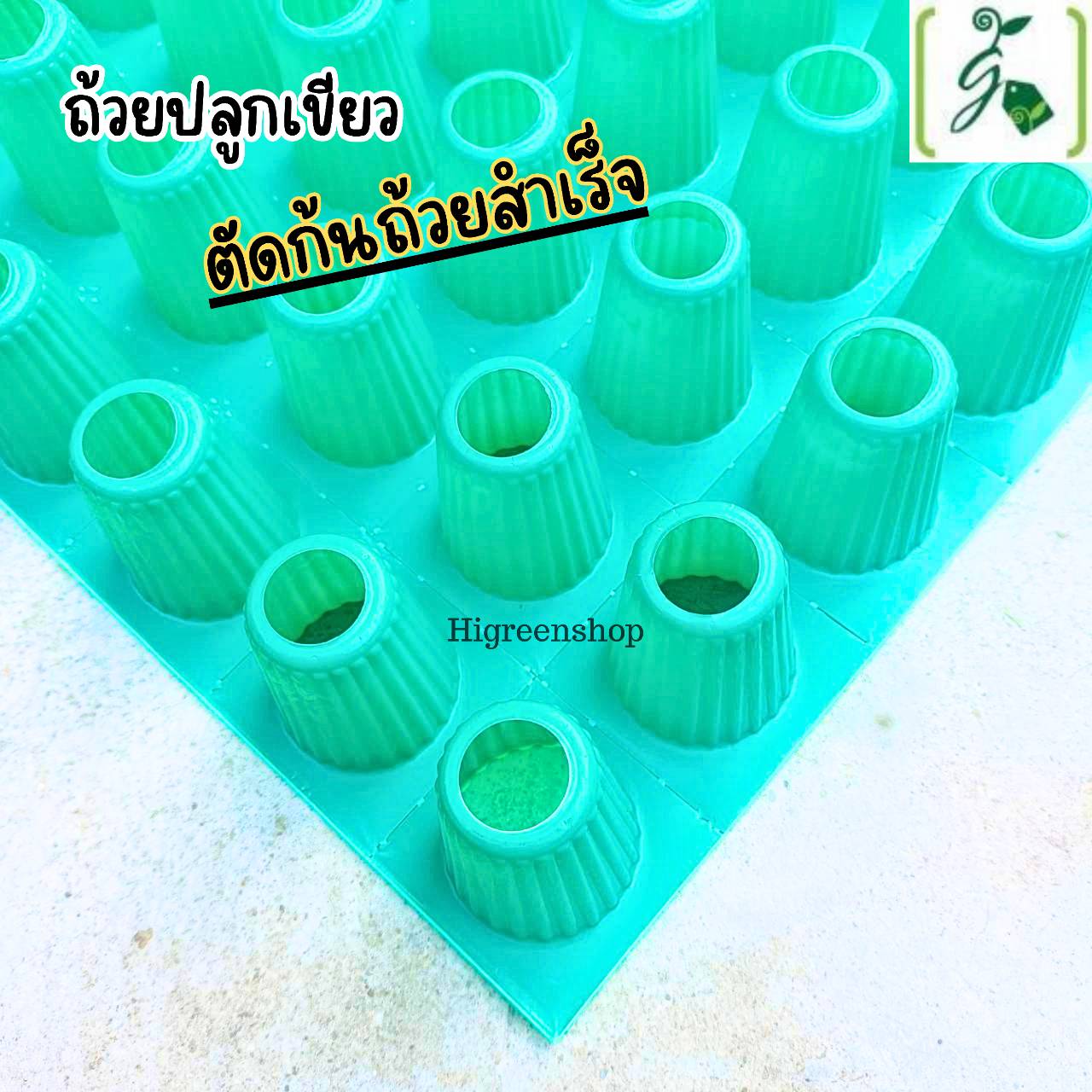 ถ้วยปลูกเขียว ตัดก้นถ้วย (ลัง)