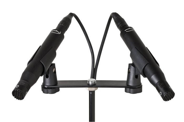 Mojave Audio MA-101FET Small-Diaphragm Condenser Microphones