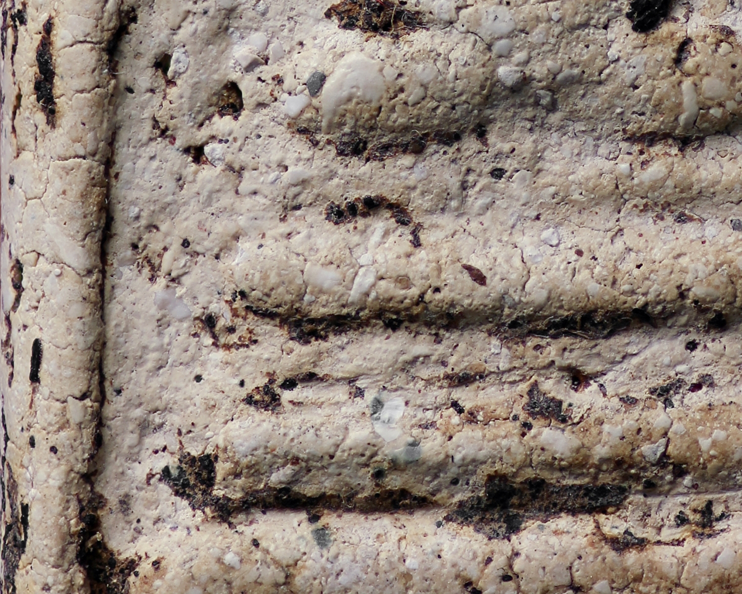 พระสมเด็จวัดระฆังโฆสิตาราม พิมพ์ฐานแซม