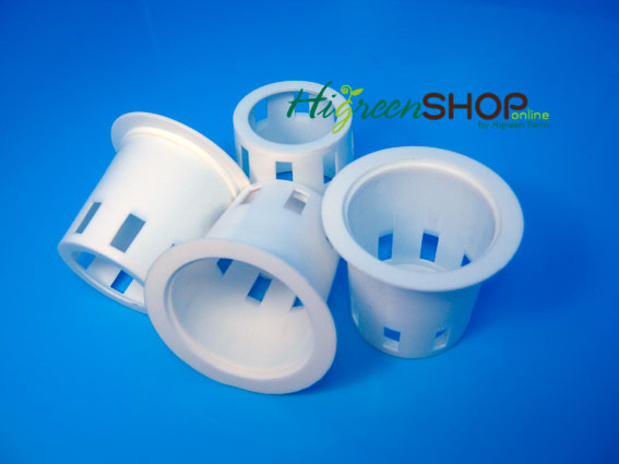 ถ้วยปลูกสีขาว 100 ใบ (ใช้ซ้ำ) เกรด A