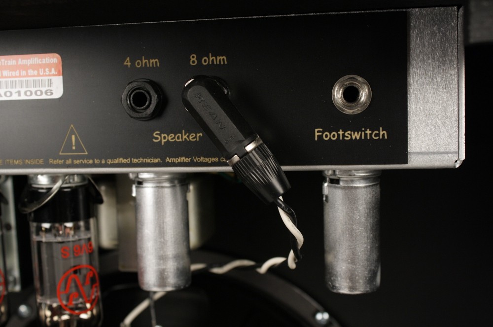 ValveTrain Savannah 1x12 Combo Amp