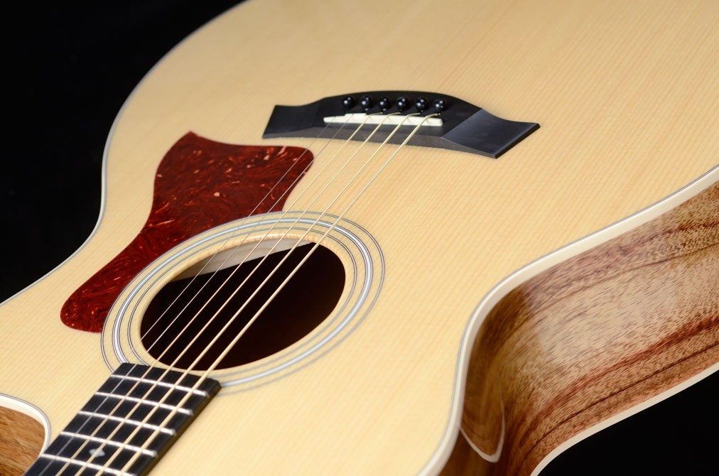 Taylor 214ce-K Acoustic/Electric