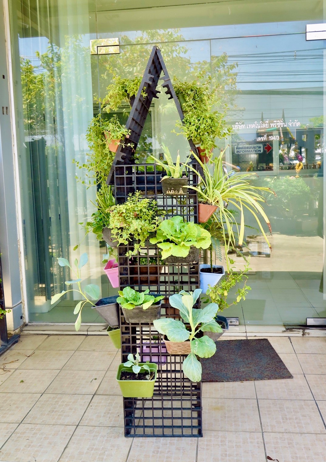 ตะแกรงนิ้วแขวนกระถางสวนแนวตั้งขนาด 50cm X 50cn