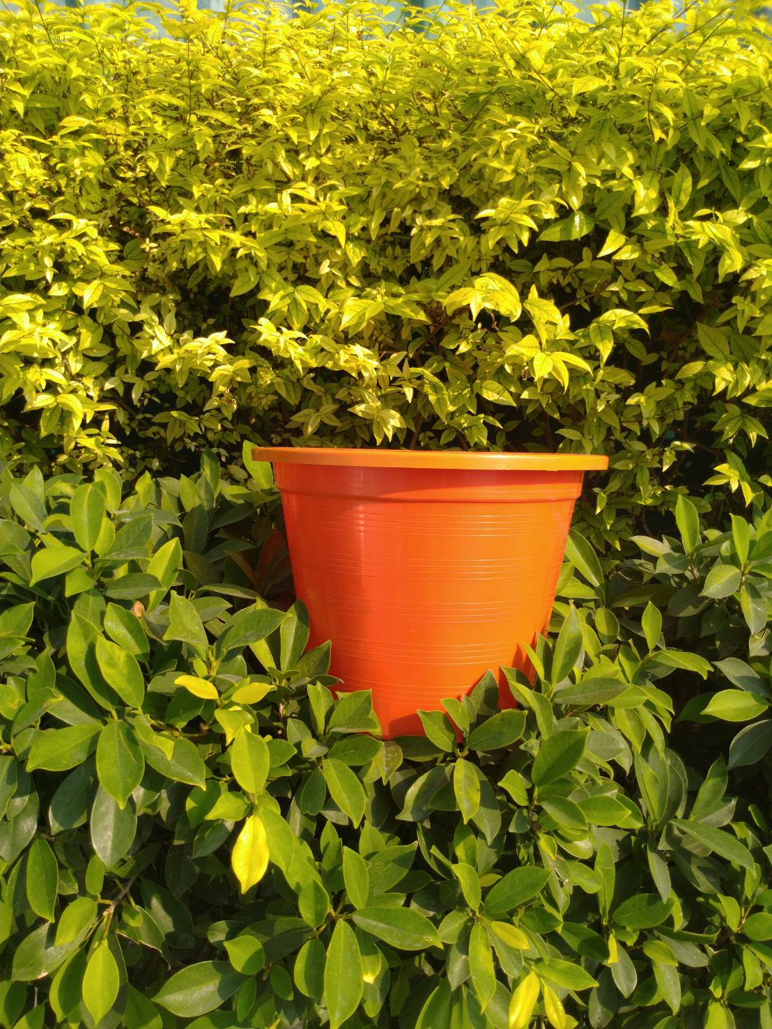 กระถางกลม 12 นิ้ว 1 ใบ (เลือกสีได้)