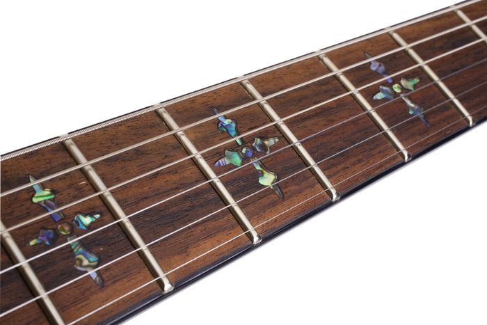 Schecter Guitar Research Hellraiser C-1 FR Electric Guitar