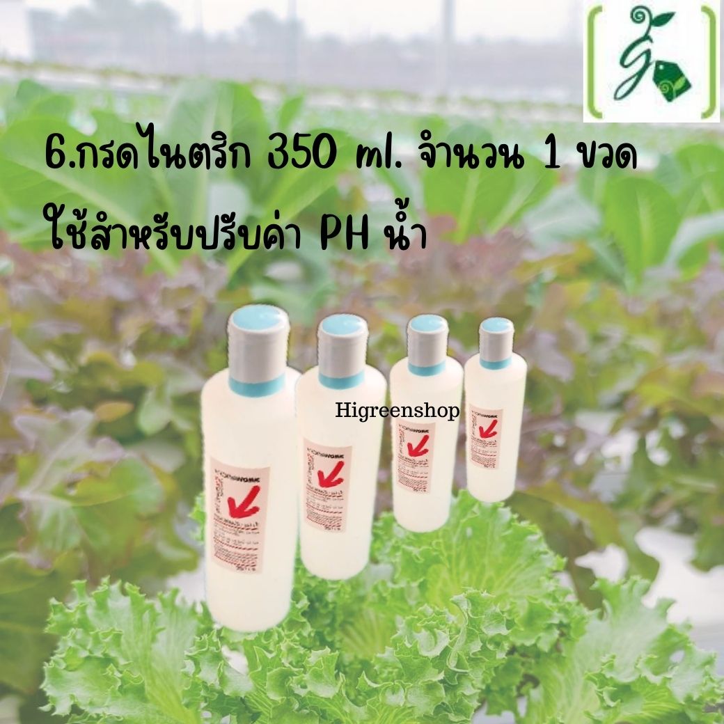 ชุด kid กล่องโฟมน้ำนิ่ง กล่องกุ้ง