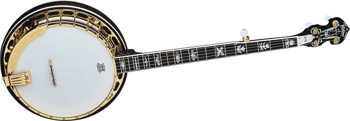 Washburn B17 Sunburst 5-String Banjo w/case Sunburst