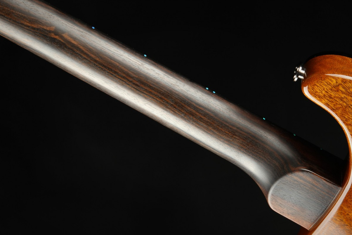 Paul Reed Smith Private Stock #9021 Special Semi-Hollow F-Hole Macassar Ebony - Sub Zero Glow