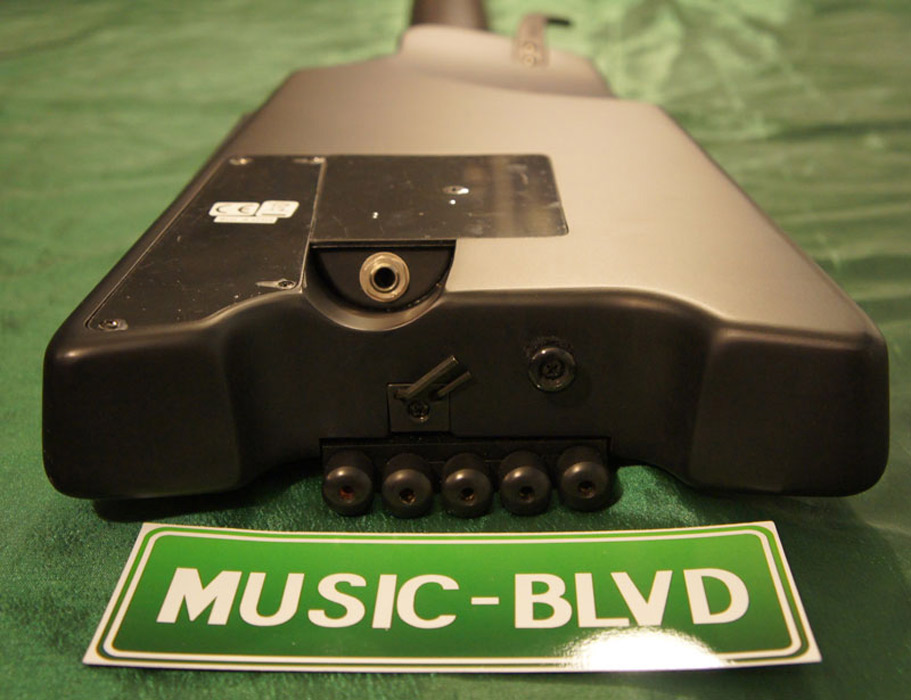 Steinberger Synapse XS-15FPA 5-String Bass Guitar