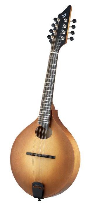 Breedlove American OO VTG O-Style Mandolin Sunburst