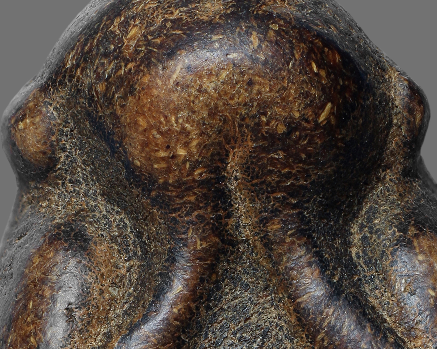 พระปิดตาหลวงพ่อแก้ว เนื้อกะลา วัดเครือวัลย์ จ.ชลบุรี (โชว์พระ)