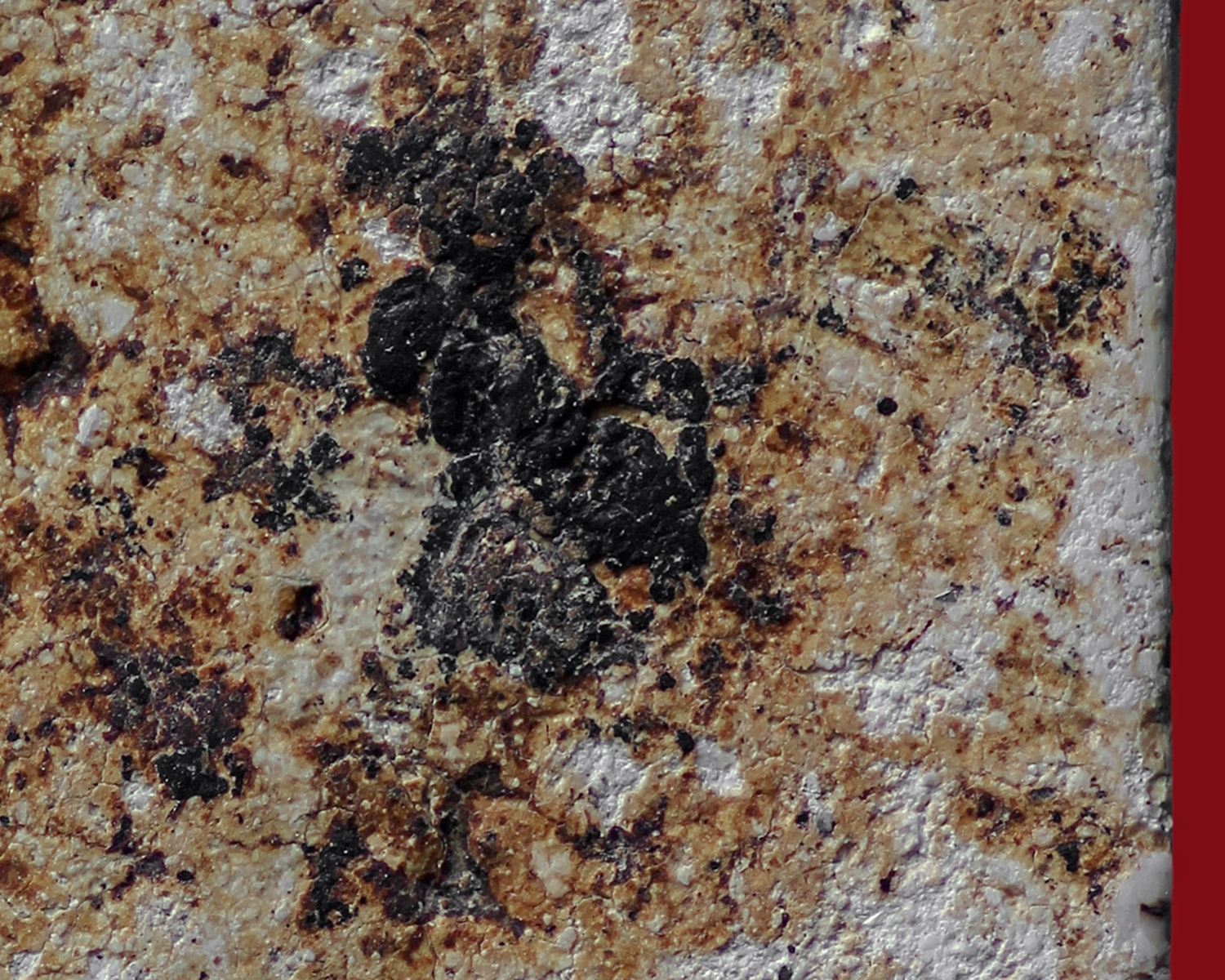 พระสมเด็จวัดระฆังโฆสิตาราม พิมพ์ฐานแซม