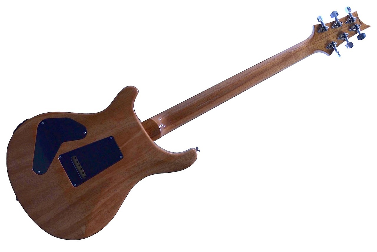 PRS P24 Tremolo 10 Top Electric Guitar Obsidian