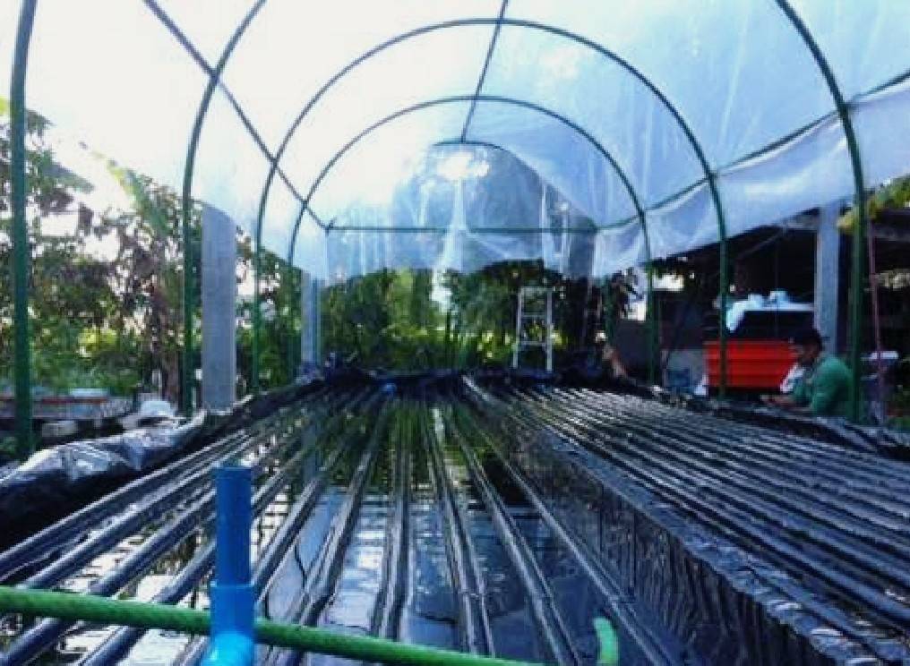 (ตัดสำเร็จพร้อมจำหน่าย) พลาสติกใส พลาสติกดำ มุ้ง สแลนด์ หน้ากว้าง 2/3/4/5/6/7 เมตร เลือกได้ตามต้องการ