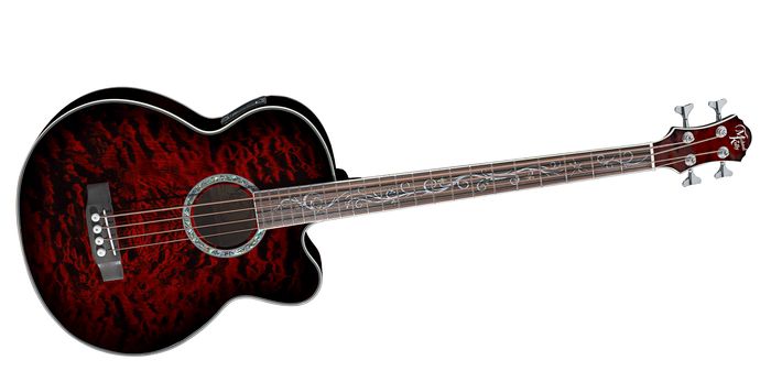 Michael Kelly Dragonfly 4-String Acoustic-Electric Bass