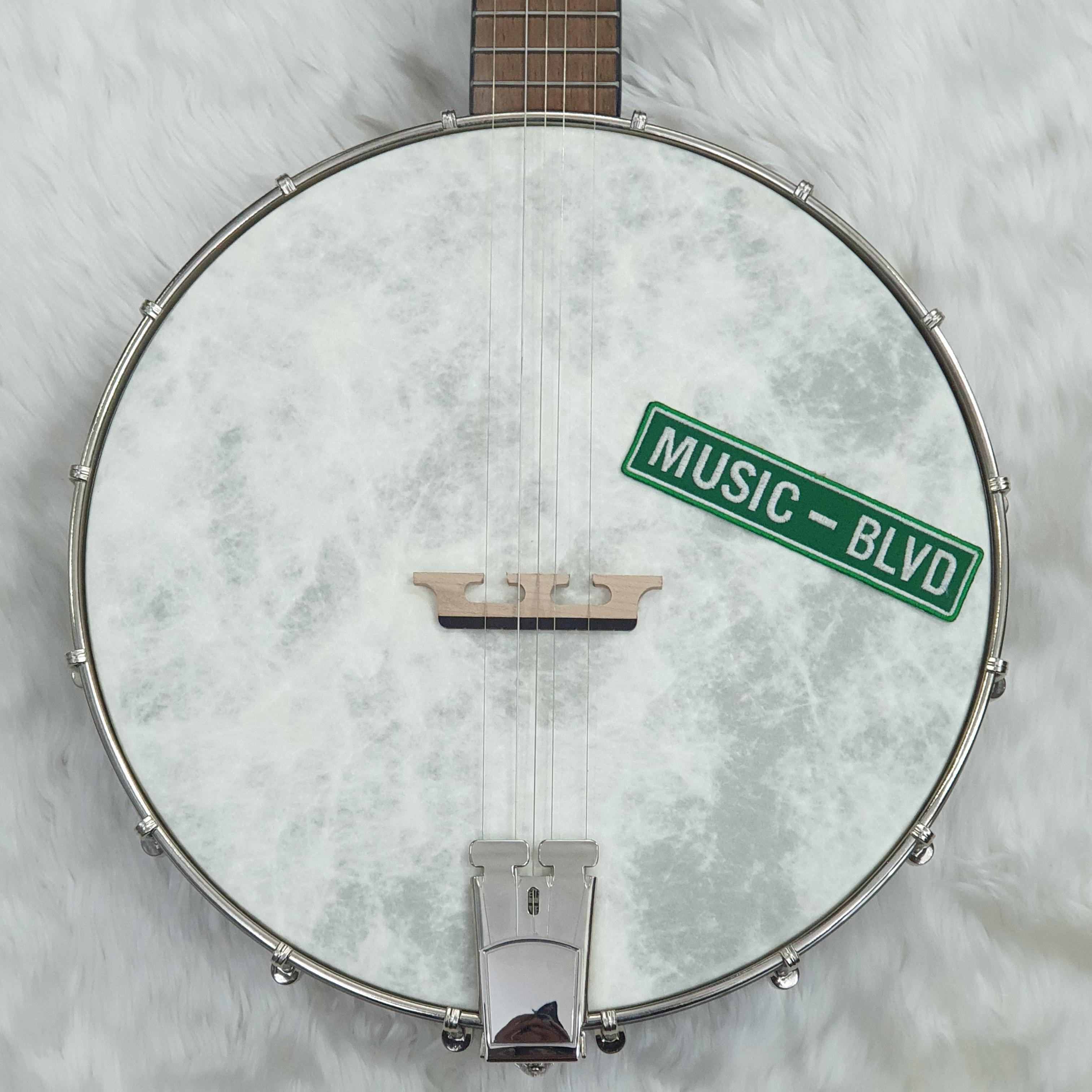 Recording King Dirty 30s Open Back Tone Ring Banjo