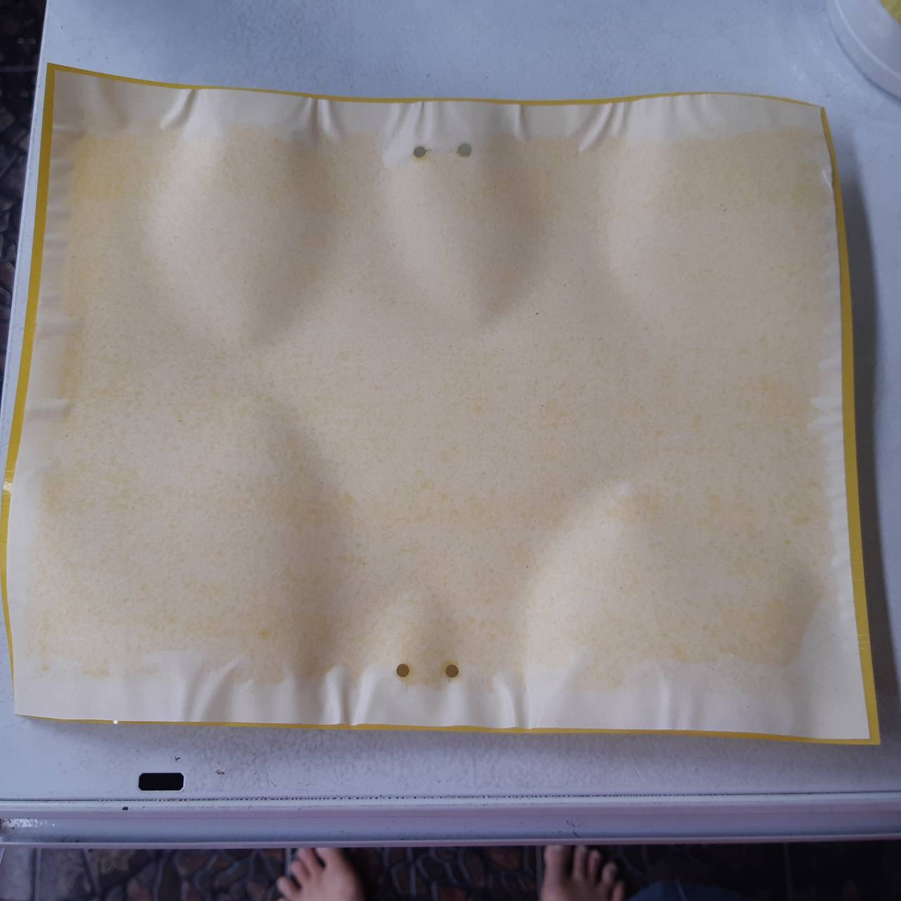 กระดาษกาวดักแมลงสองด้าน ขนาด 20x25 ซม./แผ่น