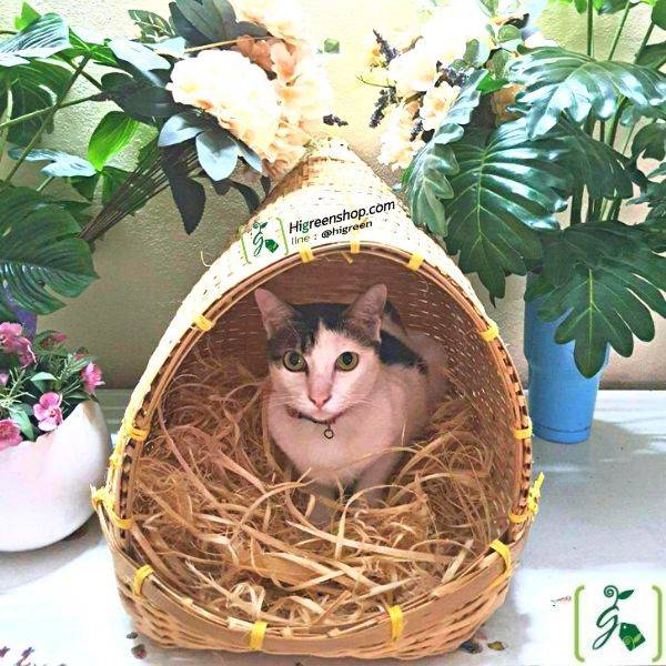 ตะกร้าสาน รังไก่ รังนก ที่นอนแมว จำนวน 1 ใบ