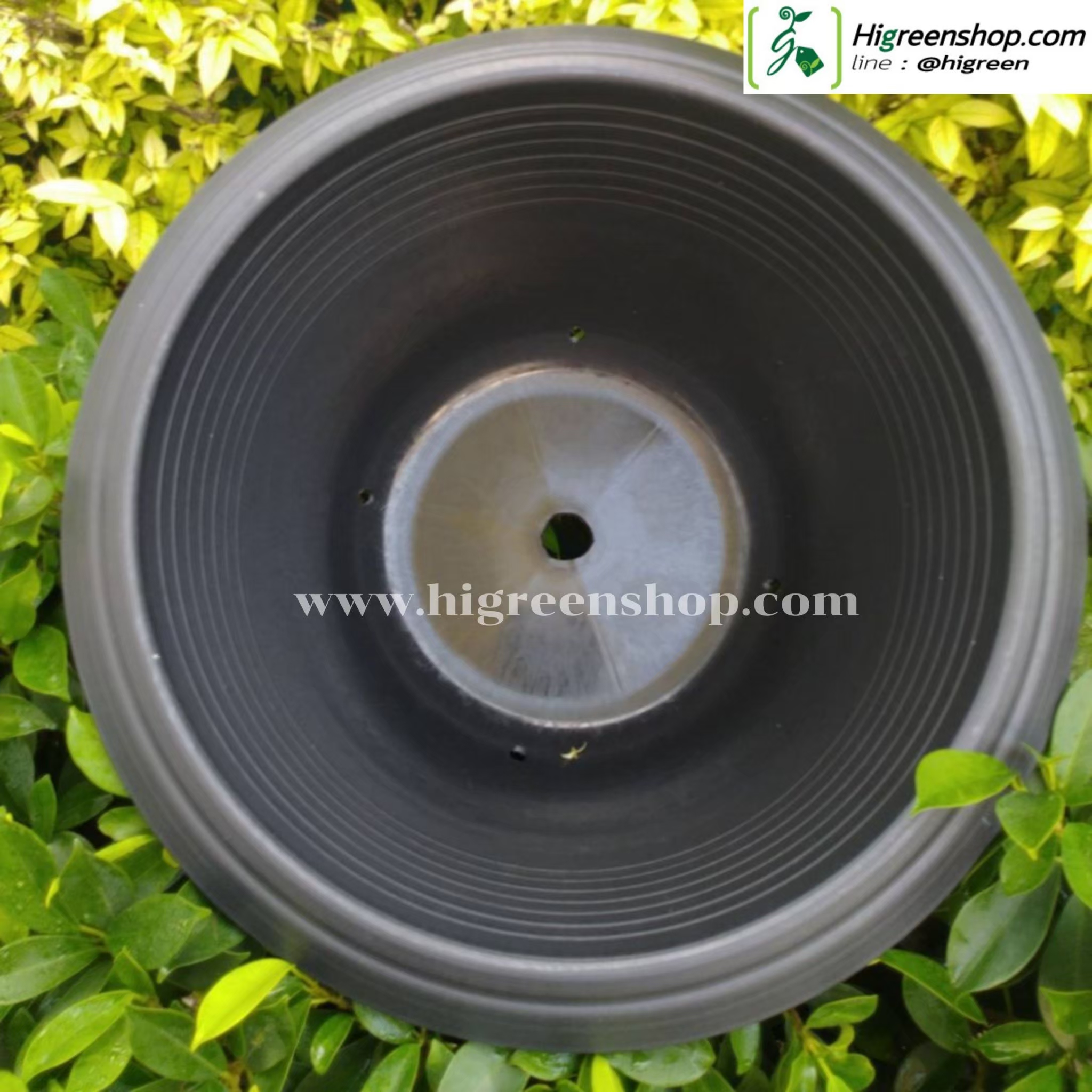 กระถางดำ ขนาด 20 นิ้ว 50 ใบ / กระสอบ