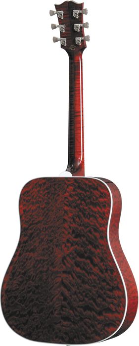 Gibson Custom Firebird Custom Acoustic Guitar