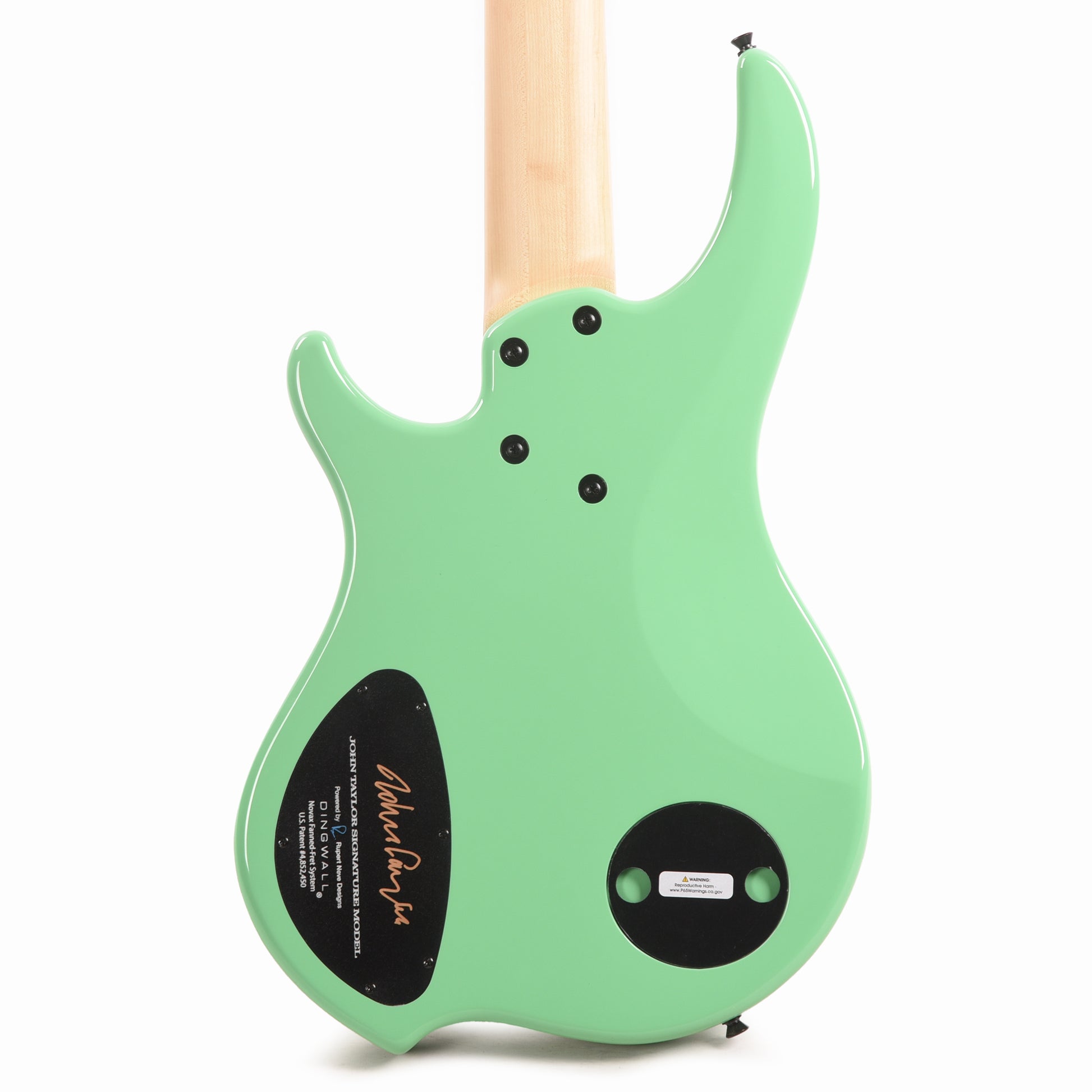 Dingwall John Taylor Signature 5-String Bass Seafoam Green
