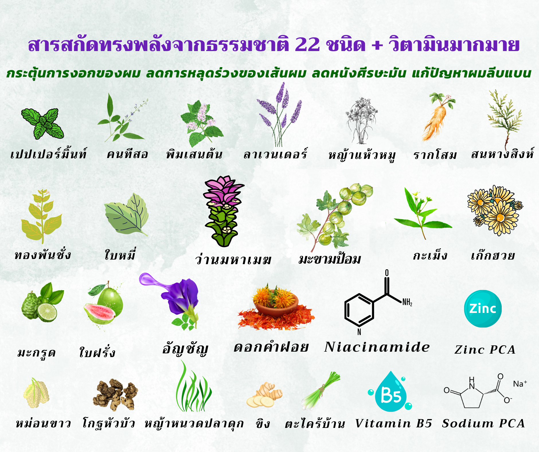 คือ การเลือกใช้แชมพู หรือ ยาสระผม ที่ไม่มีสารกันเสีย พาราเบน แก้ไขตรงจุด เพื่อให้ปัญหาผมร่วง ผมบางกลางหัว ดีขึ้น จนกระทั่ง ผมบาง กลับมาหนา ได้อีกครั้งอย่างที่คุณต้องการ