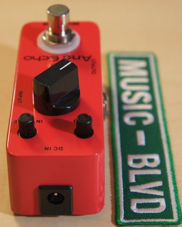 Mooer Audio Ana Echo Delay