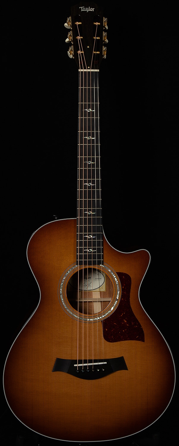 Taylor 712ce 12-Fret Wildwood and Steel Prototype