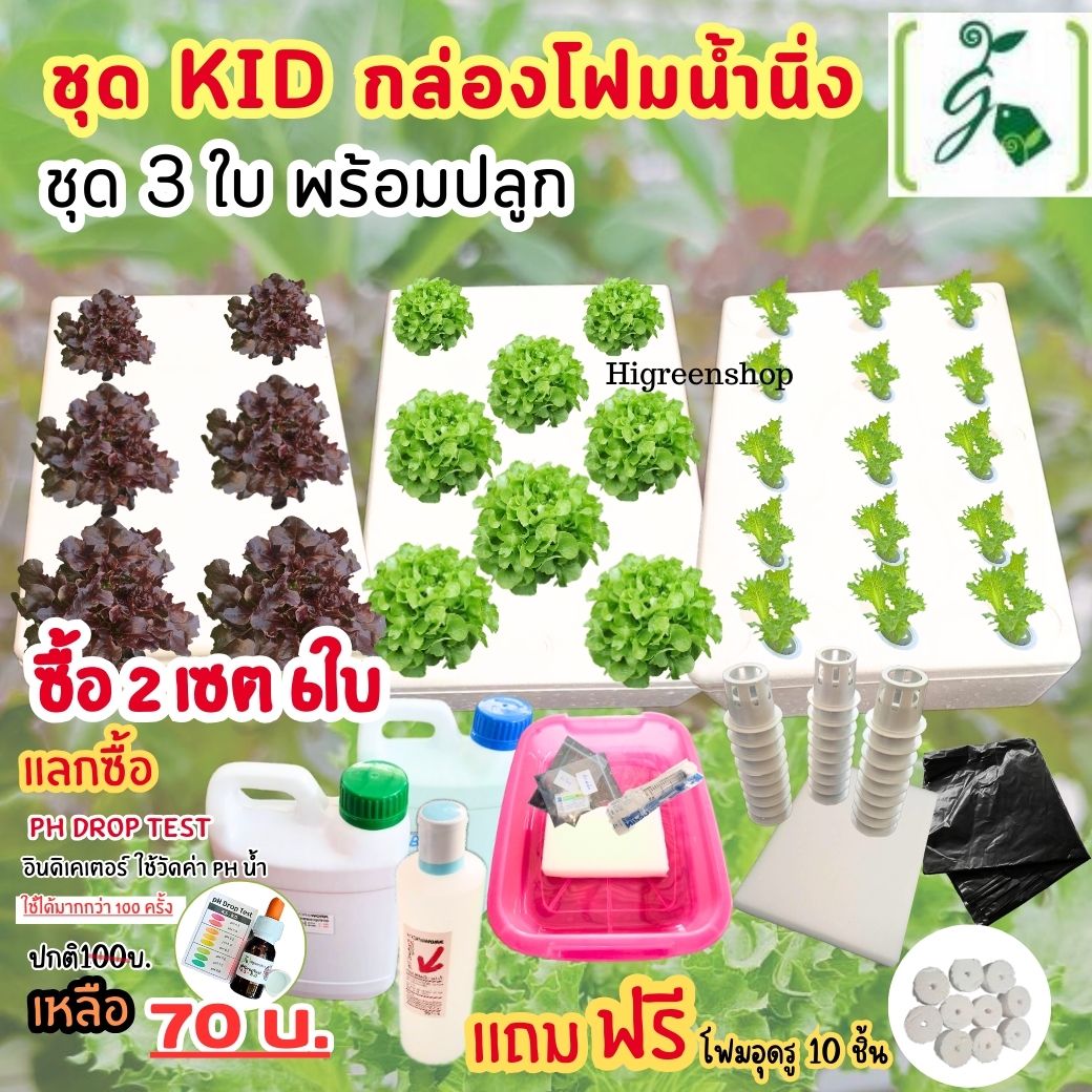 ชุด kid กล่องโฟมน้ำนิ่ง กล่องกุ้ง
