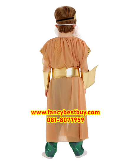 ชุดโพเซดอน ชุดแฟนซีเด็ก ชุดเทพเจ้ากรีก Poseidon Gold of Sea (ไม่รวมไม้สามง่าม+เครา) ขนาด M 115-125, L 125-135, XL 135-145