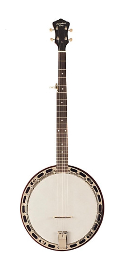 Recording King RKH-05 Dirty 30s Resonator Banjo